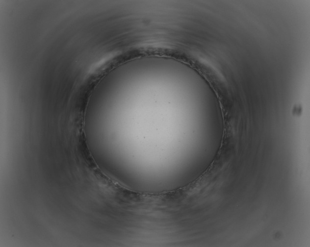 X0000094920870200712131512