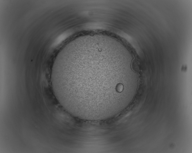 X0000094920871200712131512