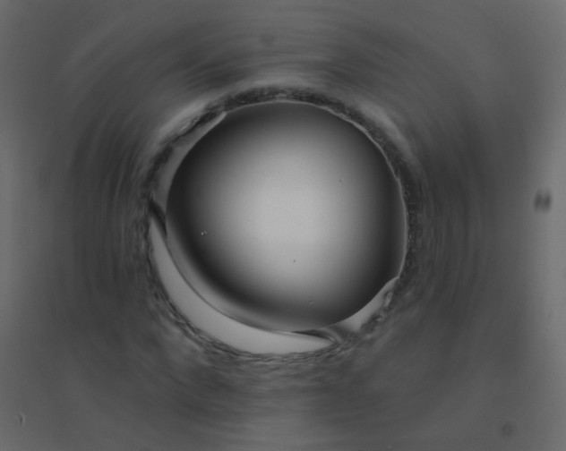 X0000094920872200712131512