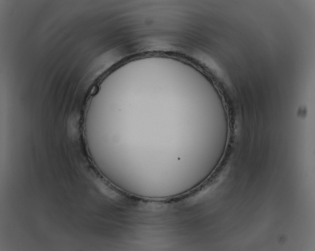 X0000094920873200712131512