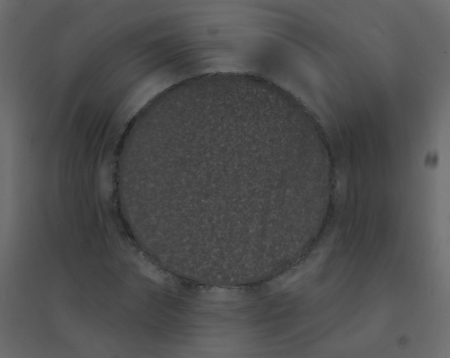 X0000094920874200712131512