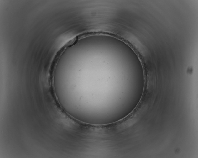 X0000094920876200712131512