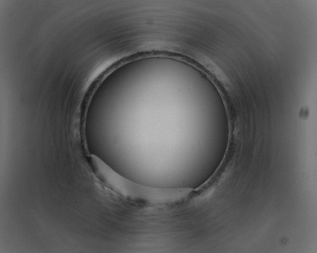 X0000094920877200712131512