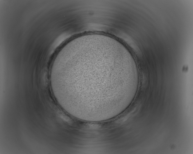 X0000094920878200712131512