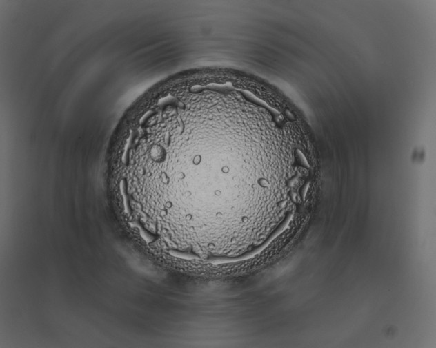 X0000094920879200712131512