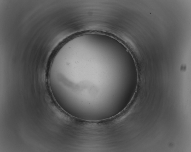 X0000094920880200712131512