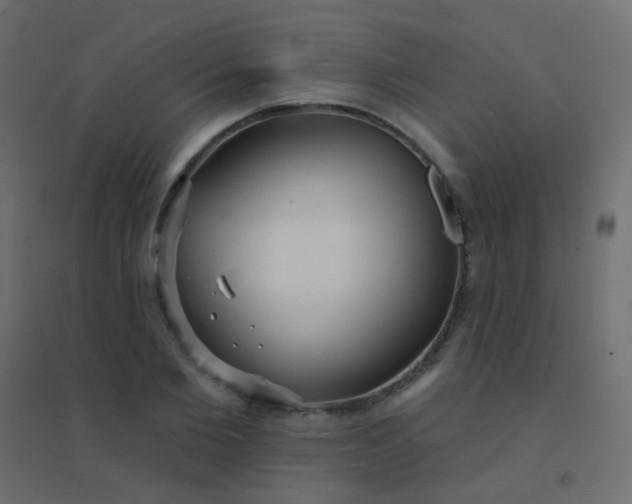 X0000094920885200712131512