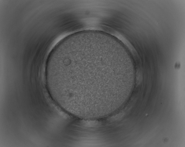 X0000094920886200712131512