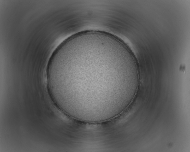 X0000094920887200712131512