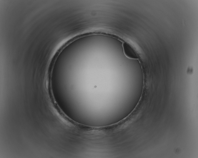 X0000094920888200712131512