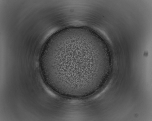 X0000094920889200712131512