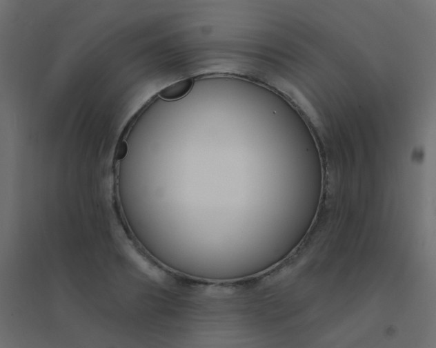 X0000094920890200712131512