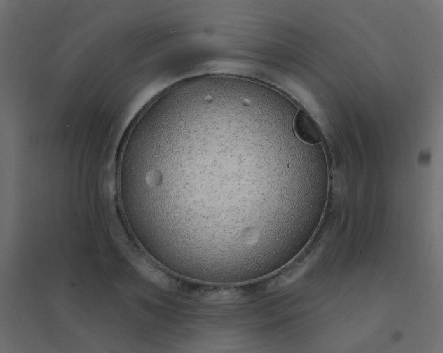 X0000094920891200712131512