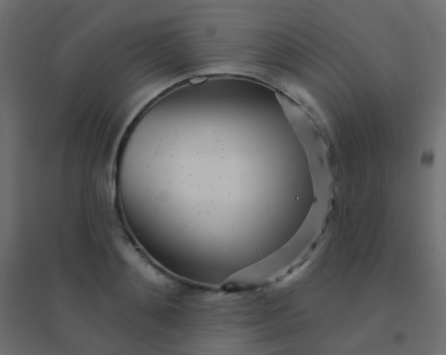 X0000094920892200712131512