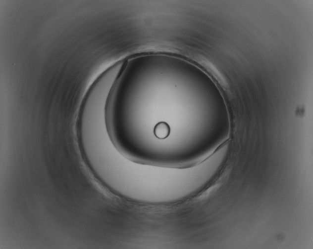 X0000094920893200712131512