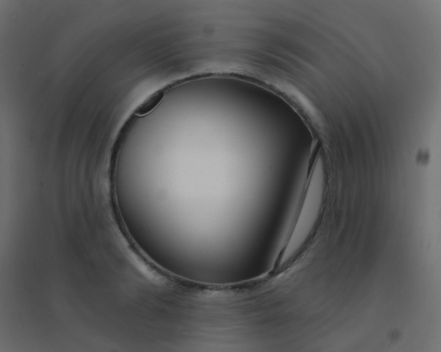 X0000094920894200712131512