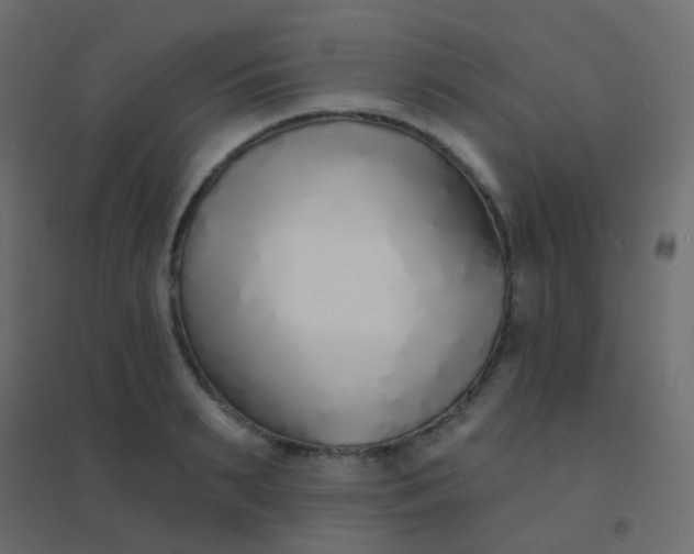 X0000094920895200712131512