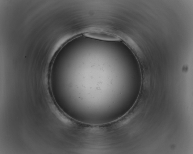 X0000094920896200712131512