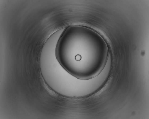 X0000094920897200712131512