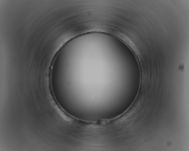 X0000094920898200712131512