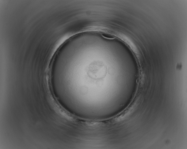 X0000094920899200712131512