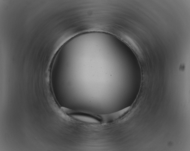 X0000094920900200712131512