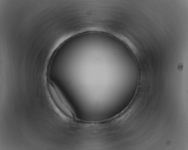 X0000094920902200712131512