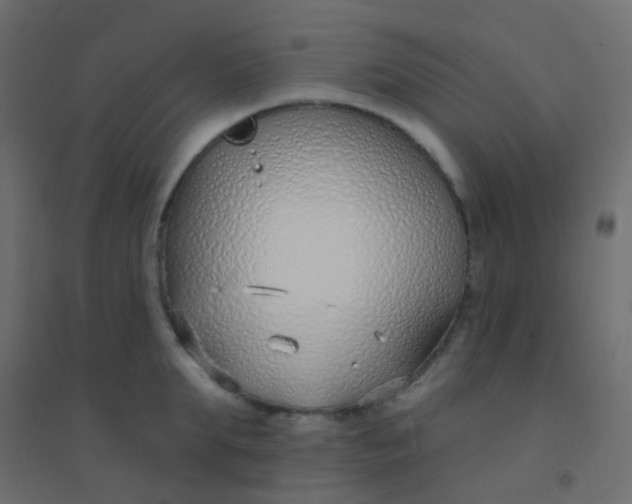 X0000094920903200712131512