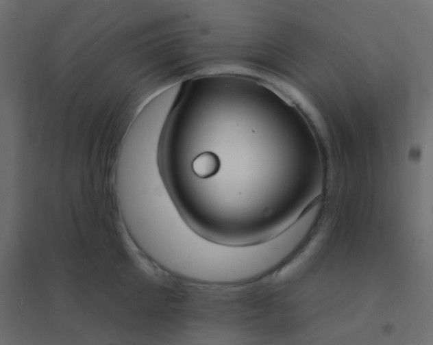 X0000094920905200712131512