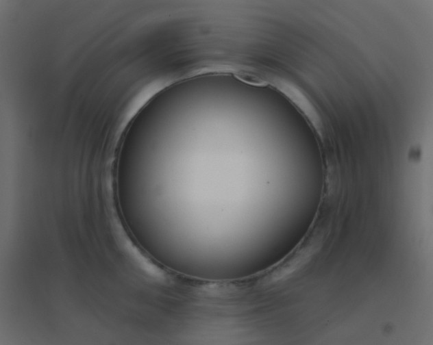 X0000094920906200712131512