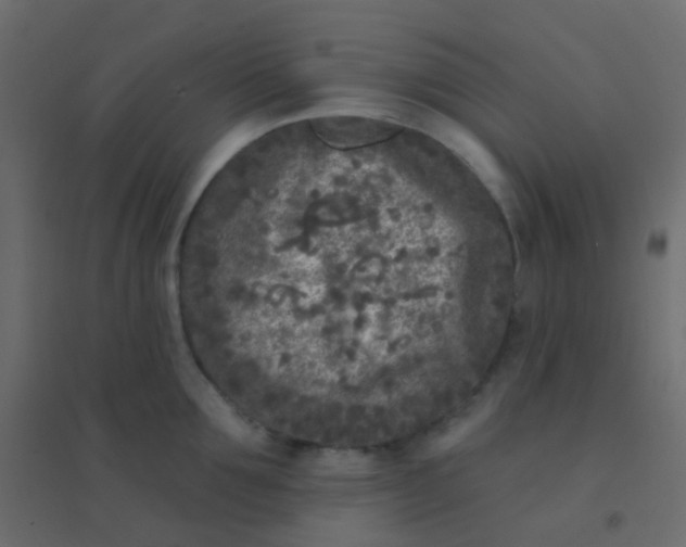 X0000094920907200712131512