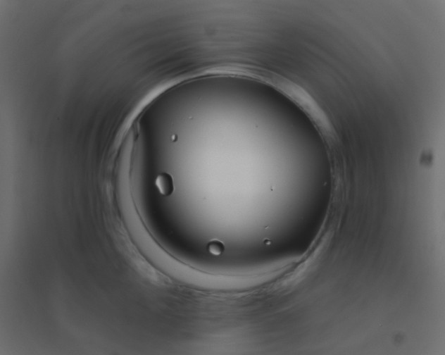 X0000094920908200712131512