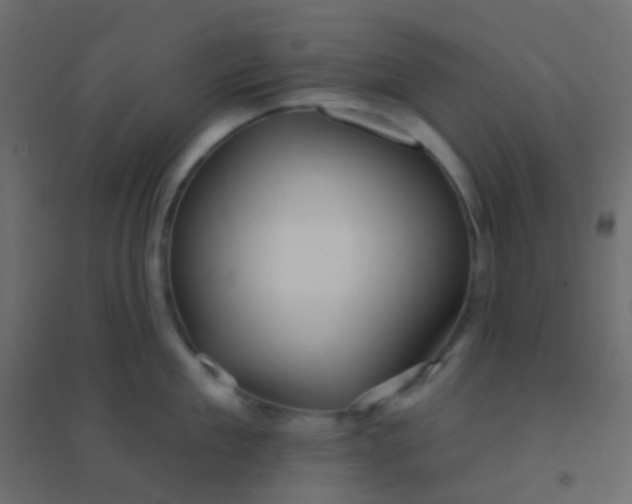 X0000094920909200712131512