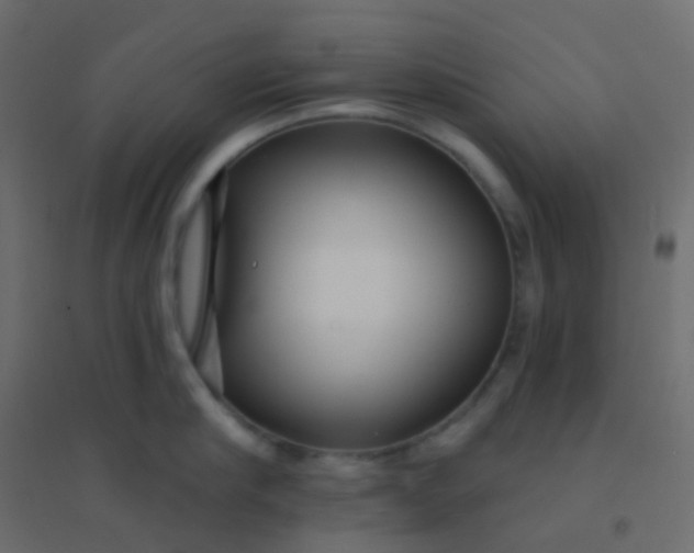 X0000094920910200712131512