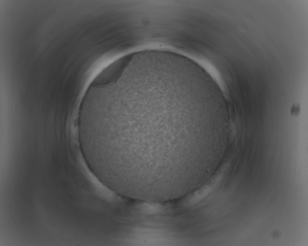 X0000094920911200712131512