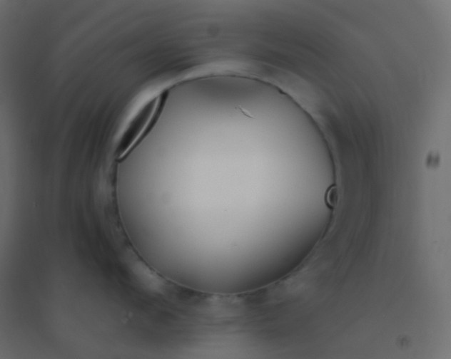 X0000094920912200712131512