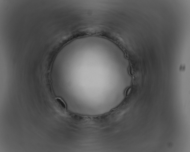 X0000094920913200712131511