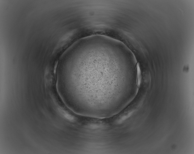 X0000094920916200712131511