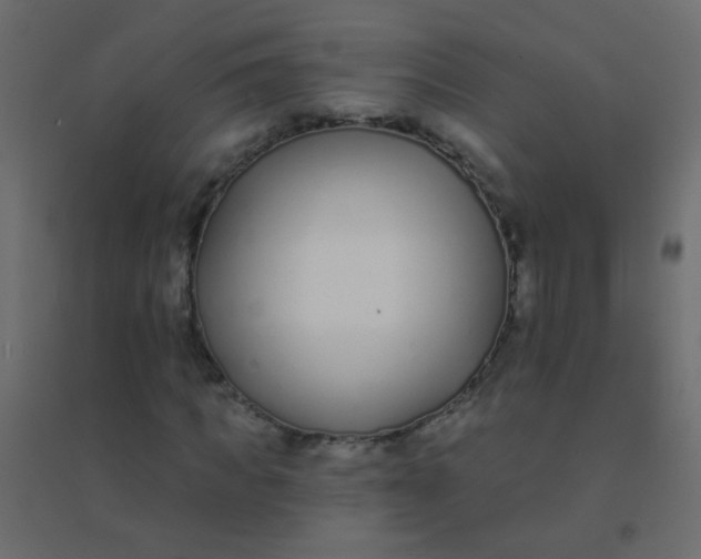 X0000094920917200712131511