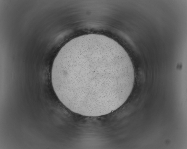 X0000094920918200712131511