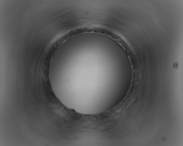 X0000094920919200712131511