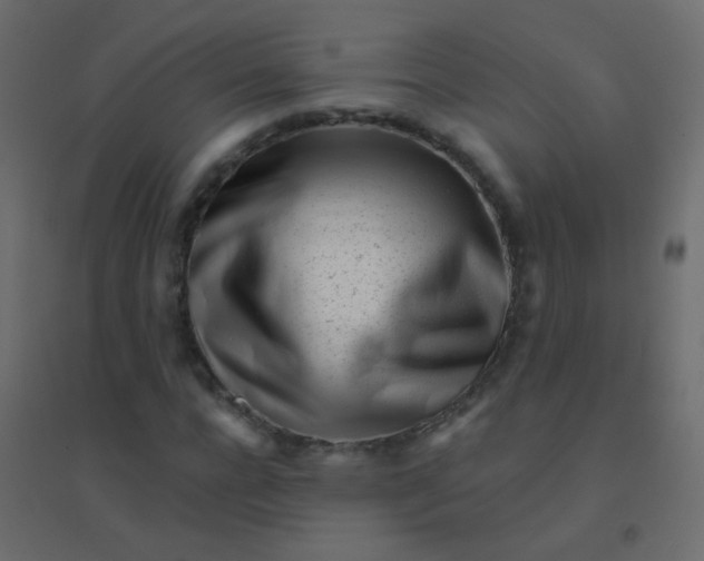 X0000094920920200712131511