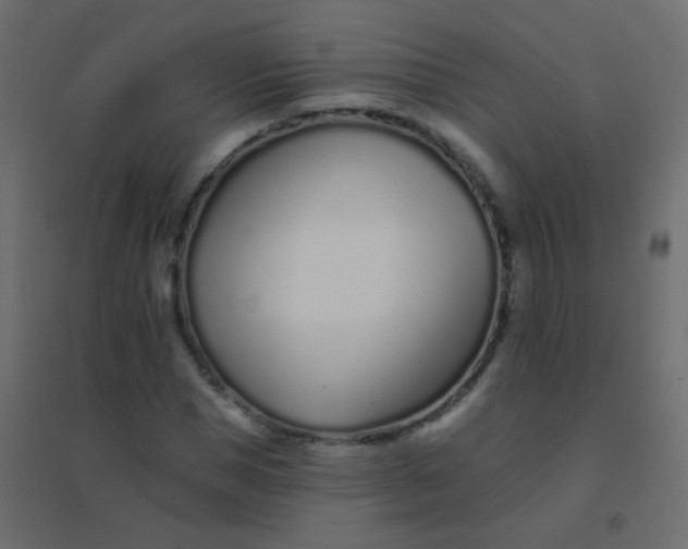 X0000094920921200712131511