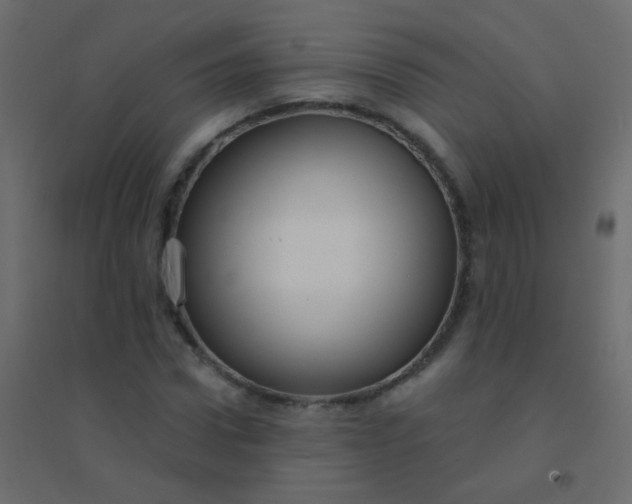 X0000094920922200712131511