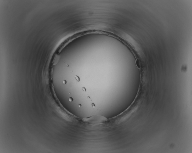 X0000094920924200712131511