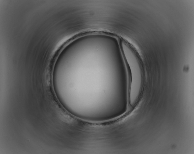 X0000094920925200712131511