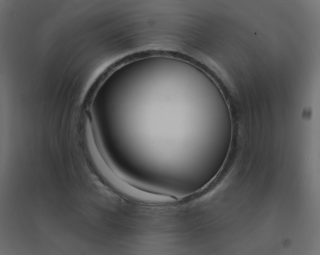 X0000094920926200712131511