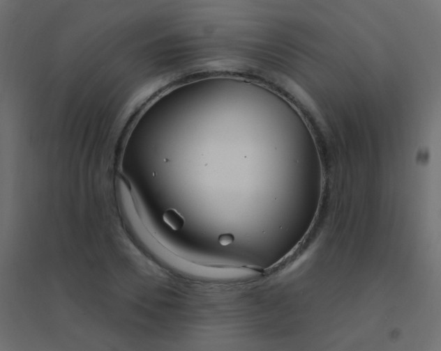 X0000094920930200712131511