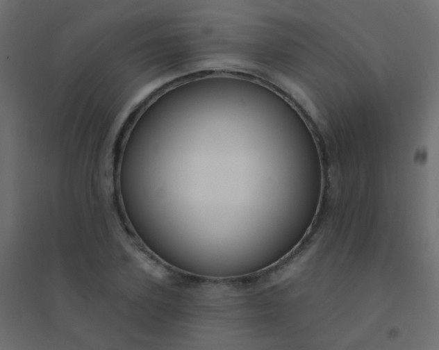 X0000094920931200712131511