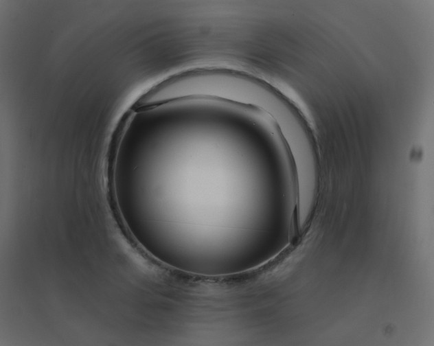 X0000094920935200712131511